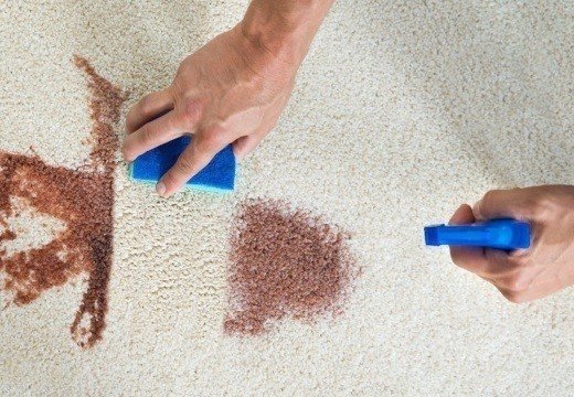 Чем почистить палас в домашних условиях от грязи и пятен на полу
