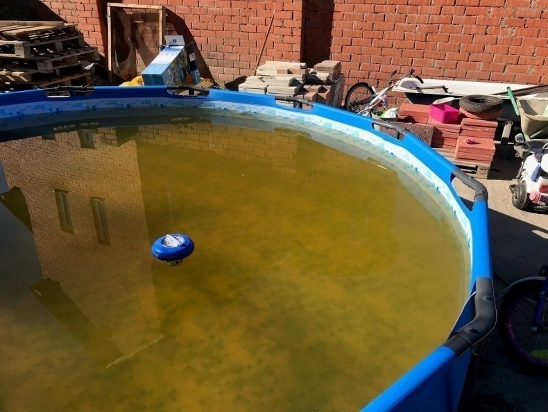 Каркасный бассейн с грязной водой