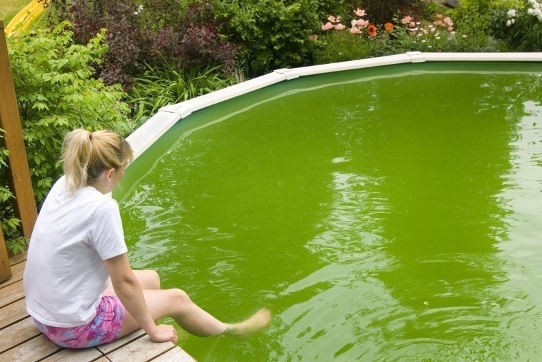Прозрачная но зелёная вода в бассейне