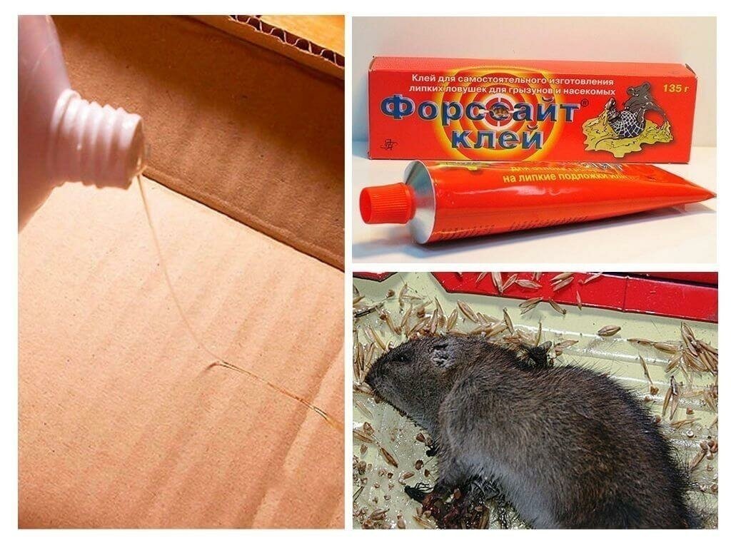 Клей для мышей и крыс