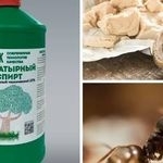 О борьбе с муравьями с помощью нашатырного спирта
