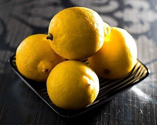 Лимоны для лимончелло сорт