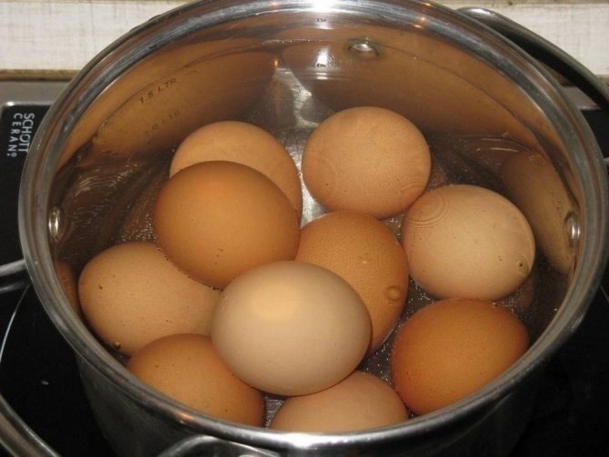 Правильно варить яйца