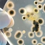 Аэробные бактерии для септиков и выгребных ям